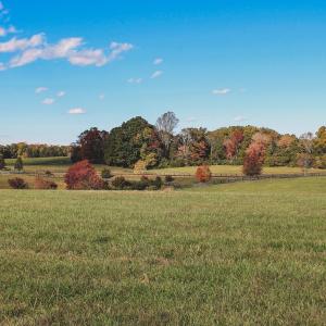 Photo #20 of Lot 21 ROLLING RD S, SCOTTSVILLE, VA 15.0 acres