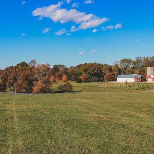 Photo #23 of Lot 21 ROLLING RD S, SCOTTSVILLE, VA 15.0 acres