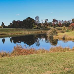 Photo #18 of Lot 21 ROLLING RD S, SCOTTSVILLE, VA 15.0 acres