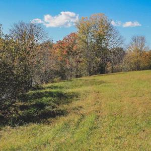 Photo #16 of Lot 20 ROLLING RD S, SCOTTSVILLE, VA 26.3 acres
