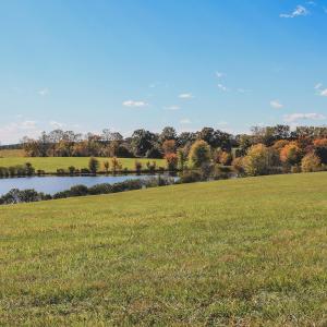 Photo #14 of Lot 20 ROLLING RD S, SCOTTSVILLE, VA 26.3 acres