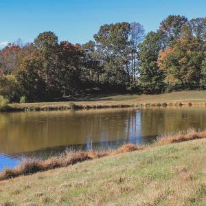 Photo #22 of Lot 20 ROLLING RD S, SCOTTSVILLE, VA 26.3 acres