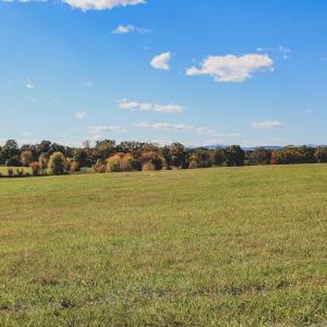 Photo #13 of Lot 20 ROLLING RD S, SCOTTSVILLE, VA 26.3 acres