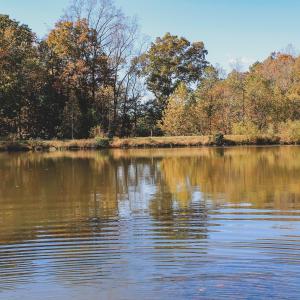 Photo #24 of Lot 20 ROLLING RD S, SCOTTSVILLE, VA 26.3 acres