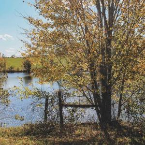 Photo #19 of Lot 20 ROLLING RD S, SCOTTSVILLE, VA 26.3 acres