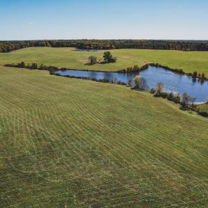 Photo #9 of Lot 20 ROLLING RD S, SCOTTSVILLE, VA 26.3 acres