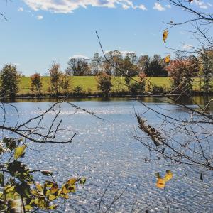 Photo #17 of Lot 20 ROLLING RD S, SCOTTSVILLE, VA 26.3 acres