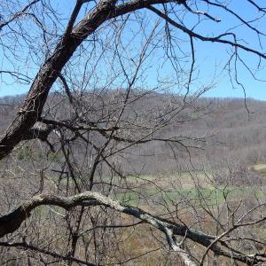 Photo #7 of tbd SAM SNEAD HWY, WARM SPRINGS, VA 32.0 acres