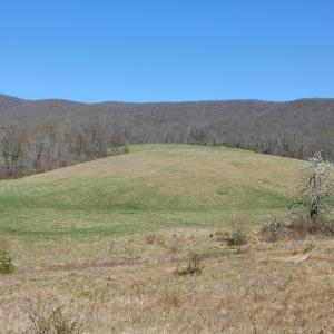 Photo #6 of tbd SAM SNEAD HWY, WARM SPRINGS, VA 32.0 acres