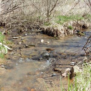 Photo #3 of tbd SAM SNEAD HWY, WARM SPRINGS, VA 32.0 acres