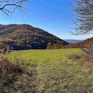 Photo #2 of tbd SAM SNEAD HWY, WARM SPRINGS, VA 32.0 acres