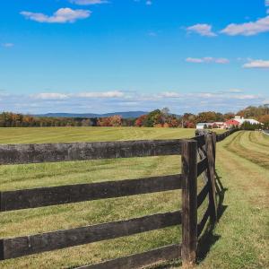 Photo #15 of Lot 19 ROLLING RD S, SCOTTSVILLE, VA 19.3 acres