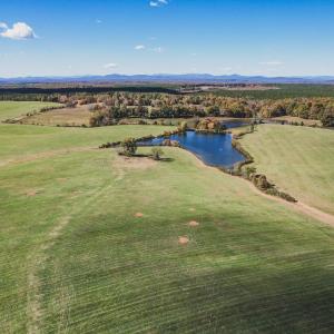 Photo #4 of Lot 19 ROLLING RD S, SCOTTSVILLE, VA 19.3 acres