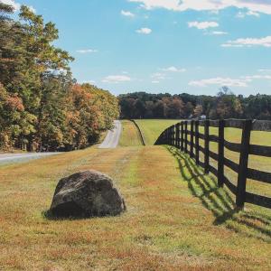 Photo #16 of Lot 19 ROLLING RD S, SCOTTSVILLE, VA 19.3 acres