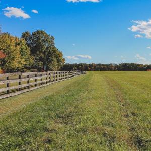 Photo #12 of Lot 19 ROLLING RD S, SCOTTSVILLE, VA 19.3 acres