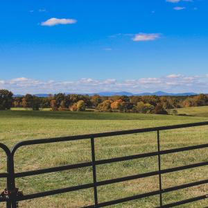 Photo #14 of Lot 19 ROLLING RD S, SCOTTSVILLE, VA 19.3 acres