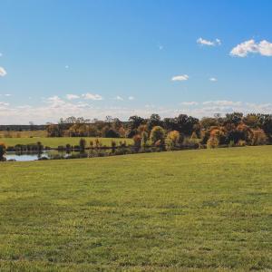 Photo #11 of Lot 19 ROLLING RD S, SCOTTSVILLE, VA 19.3 acres