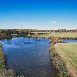 Photo #8 of Lot 19 ROLLING RD S, SCOTTSVILLE, VA 19.3 acres