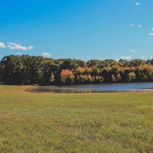 Photo #13 of Lot 18 ROLLING RD S, SCOTTSVILLE, VA 15.4 acres
