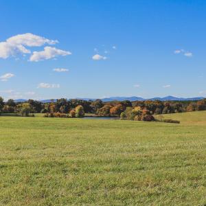 Photo #1 of Lot 18 ROLLING RD S, SCOTTSVILLE, VA 15.4 acres