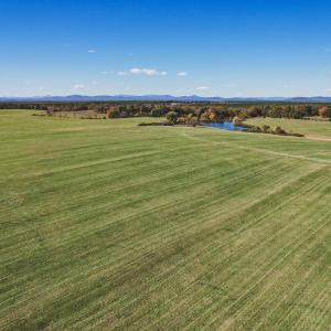Photo #8 of Lot 18 ROLLING RD S, SCOTTSVILLE, VA 15.4 acres
