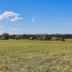 Photo #12 of Lot 18 ROLLING RD S, SCOTTSVILLE, VA 15.4 acres