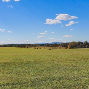 Photo #11 of Lot 18 ROLLING RD S, SCOTTSVILLE, VA 15.4 acres
