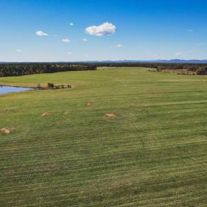 Photo #3 of Lot 18 ROLLING RD S, SCOTTSVILLE, VA 15.4 acres