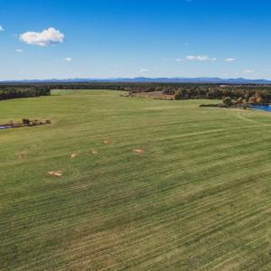 Photo #7 of Lot 18 ROLLING RD S, SCOTTSVILLE, VA 15.4 acres