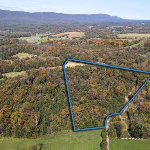 Photo #4 of 1 & 2 YOUNG RD, RILEYVILLE, VA 16.5 acres