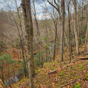 Photo #9 of 3763 POTOMAC RIVER RD, MONTEREY, VA 16.6 acres