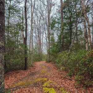 Photo #11 of 3763 POTOMAC RIVER RD, MONTEREY, VA 16.6 acres