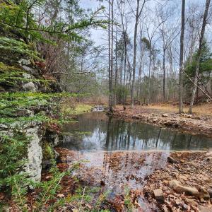Photo #3 of 3763 POTOMAC RIVER RD, MONTEREY, VA 16.6 acres