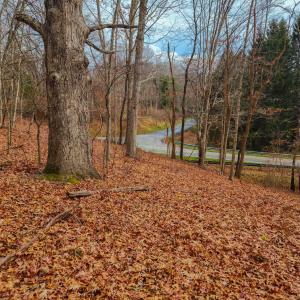 Photo #17 of 3763 POTOMAC RIVER RD, MONTEREY, VA 16.6 acres