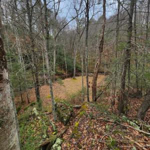 Photo #5 of 3763 POTOMAC RIVER RD, MONTEREY, VA 16.6 acres