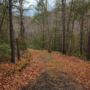 Photo #10 of 3763 POTOMAC RIVER RD, MONTEREY, VA 16.6 acres