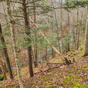 Photo #8 of 3763 POTOMAC RIVER RD, MONTEREY, VA 16.6 acres