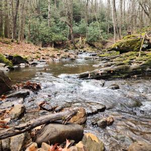 Photo #2 of 3763 POTOMAC RIVER RD, MONTEREY, VA 16.6 acres