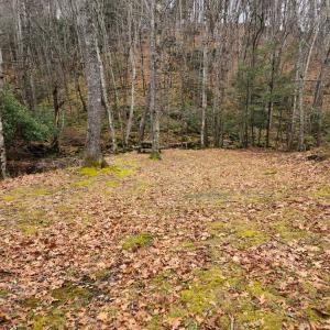 Photo #4 of 3763 POTOMAC RIVER RD, MONTEREY, VA 16.6 acres