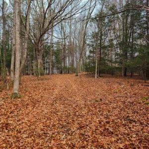 Photo #12 of 3763 POTOMAC RIVER RD, MONTEREY, VA 16.6 acres