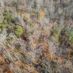 Photo #21 of PORTERS RD, ESMONT, VA 5.6 acres