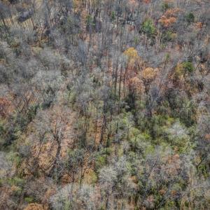 Photo #17 of PORTERS RD, ESMONT, VA 5.6 acres