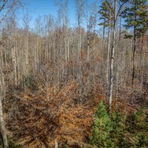 Photo #25 of PORTERS RD, ESMONT, VA 5.6 acres