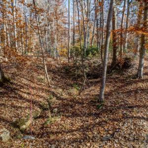 Photo #7 of PORTERS RD, ESMONT, VA 5.6 acres