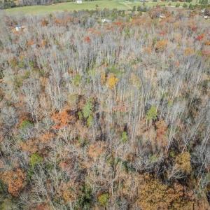 Photo #12 of PORTERS RD, ESMONT, VA 5.6 acres