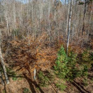 Photo #24 of PORTERS RD, ESMONT, VA 5.6 acres