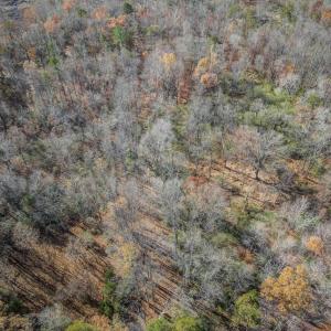 Photo #18 of PORTERS RD, ESMONT, VA 5.6 acres