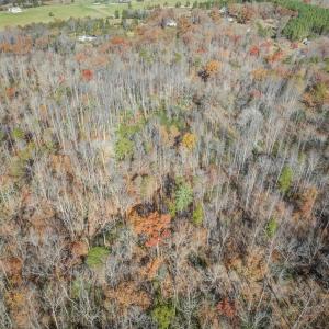 Photo #13 of PORTERS RD, ESMONT, VA 5.6 acres