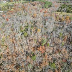 Photo #11 of PORTERS RD, ESMONT, VA 5.6 acres