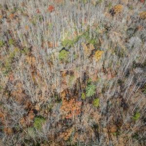 Photo #10 of PORTERS RD, ESMONT, VA 5.6 acres